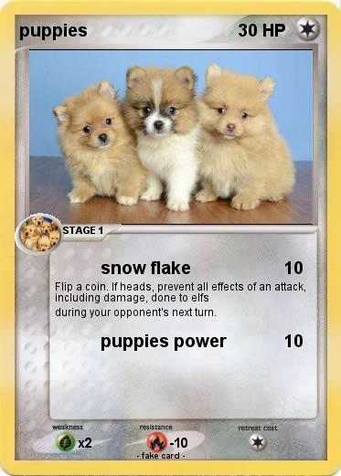 Pokemon puppies