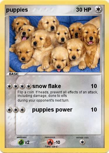 Pokemon puppies