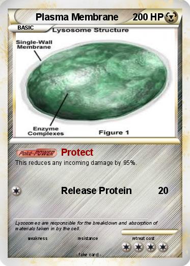 Pokemon Plasma Membrane