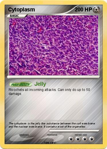 Pokemon Cytoplasm