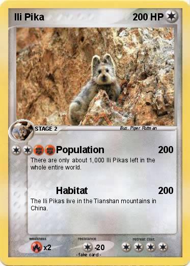 Pokemon Ili Pika