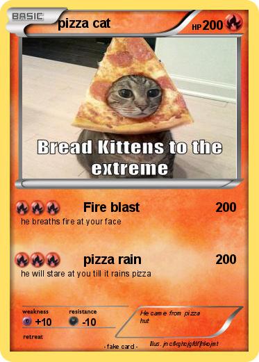 Pokemon pizza cat