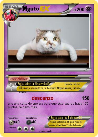 Pokemon gato