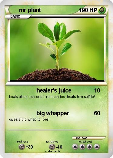 Pokemon mr plant