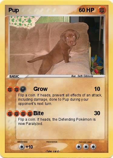 Pokemon Pup