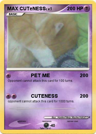 Pokemon MAX CUTeNESS