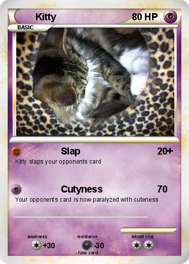 Pokemon Kitty
