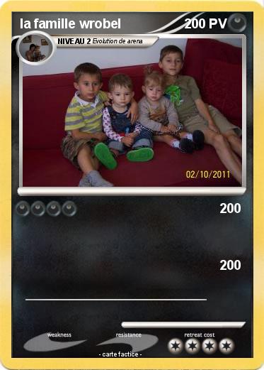 Pokemon la famille wrobel