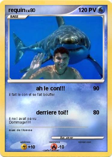 Pokemon requin