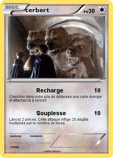 Pokemon cerbert