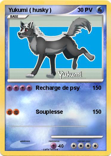Pokemon Yukumi ( husky )