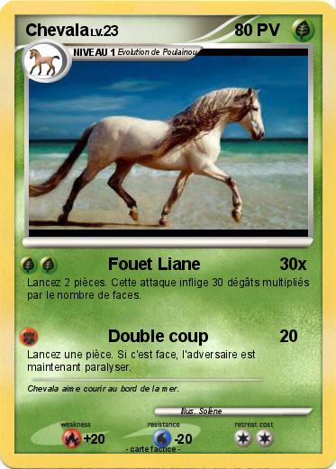 Pokemon Chevala