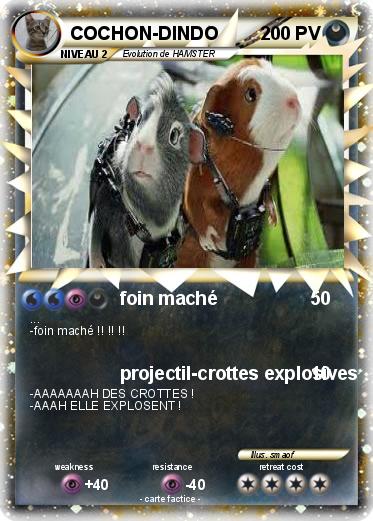 Pokemon COCHON-DINDO