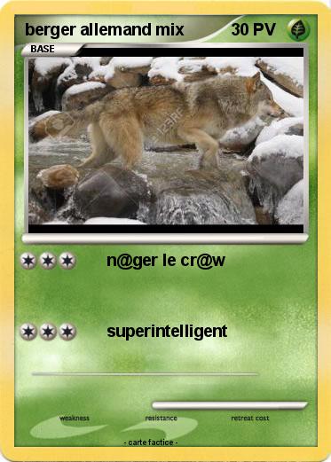 Pokemon berger allemand mix