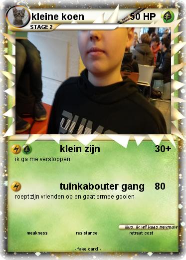 Pokemon kleine koen