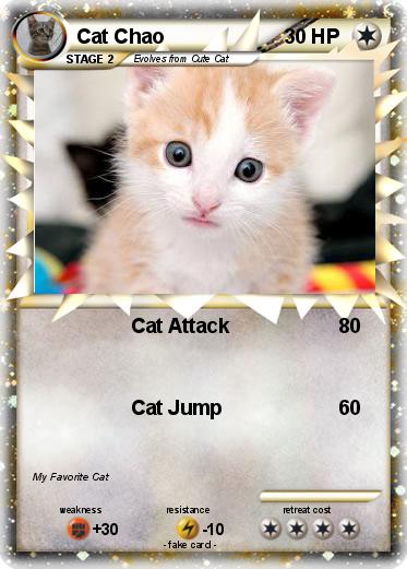 Pokemon Cat Chao