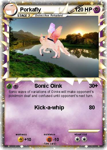 Pokemon Porkafly