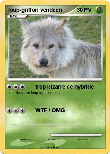 Pokemon loup-griffon vendeen