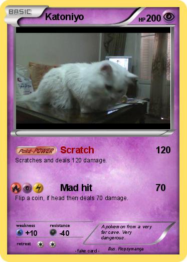 Pokemon Katoniyo
