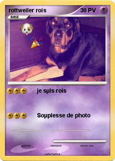 Pokemon rottweiler rois