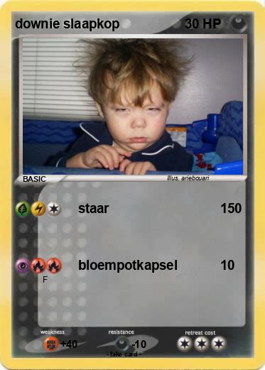 Pokemon downie slaapkop