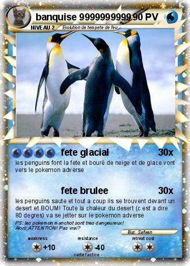Pokemon banquise 9999999999