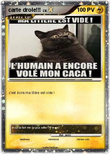 Pokemon carte drole!!!