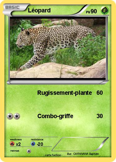 Pokemon Léopard