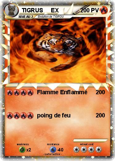 Pokemon TIGRUS     EX