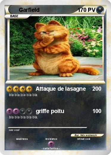 Pokemon Garfield