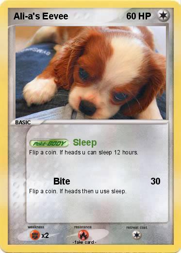 Pokemon Ali-a's Eevee