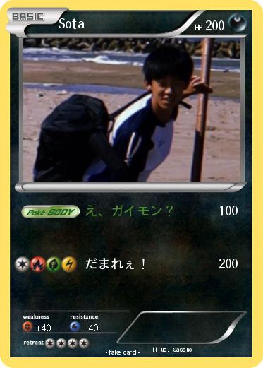 Pokemon Sota