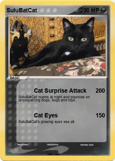 Pokemon SuluBatCat