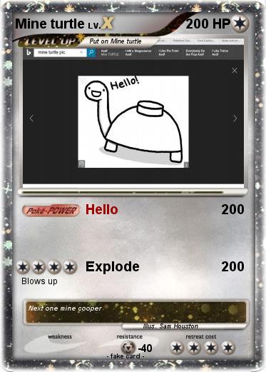 Pokemon Mine turtle