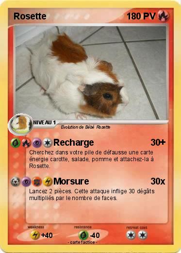 Pokemon Rosette