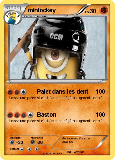 Pokemon miniockey