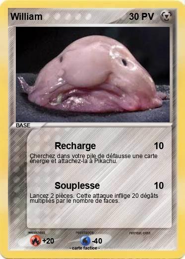 Pokemon William