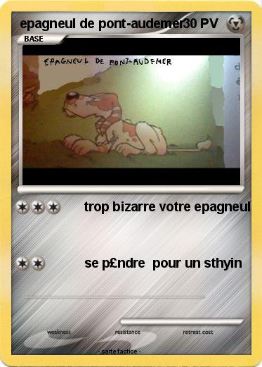 Pokemon epagneul de pont-audemer
