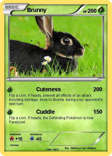 Pokemon Brunny