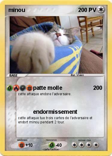 Pokemon minou