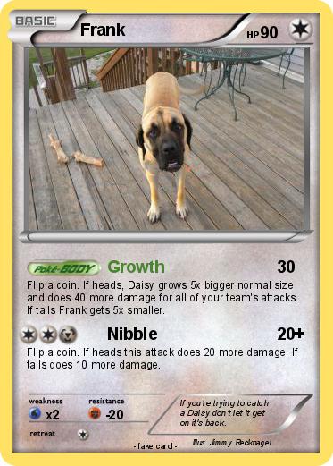 Pokemon Frank