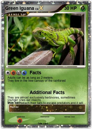 Pokemon Green Iguana