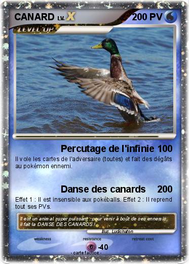 Pokemon CANARD
