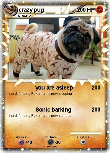 Pokemon crazy pug