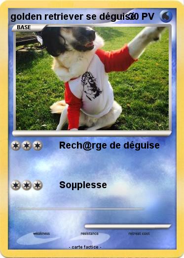 Pokemon golden retriever se déguisé
