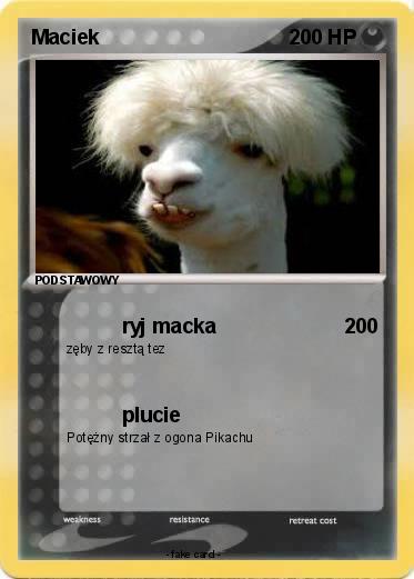 Pokemon Maciek