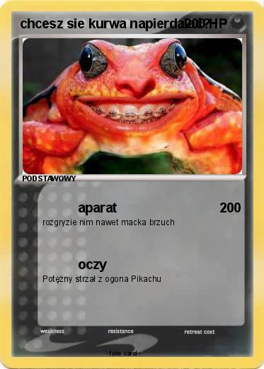 Pokemon chcesz sie kurwa napierdalać?