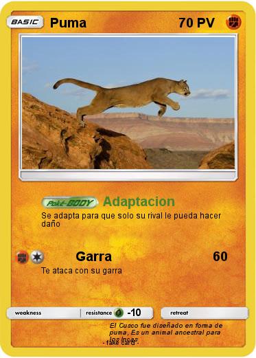 Pokemon Puma