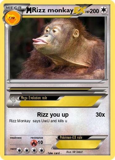 Pokemon Rizz monkay