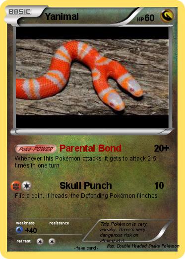 Pokemon Yanimal